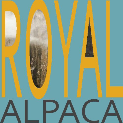 What is ROYAL ALPACA and what is SURI ALPACA fashion?