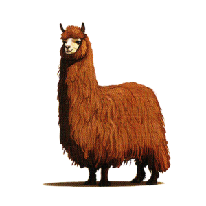 PFL knitwear all about alpaca's the Suri alpaca's
